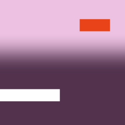 Custom software development