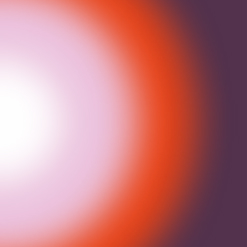 Professional support services