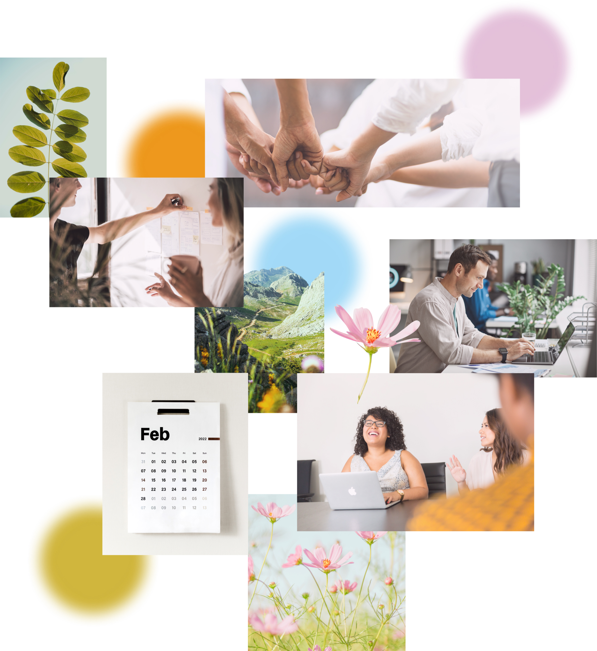 Photography Principles